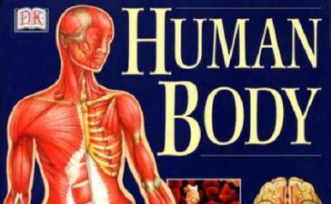 human body books