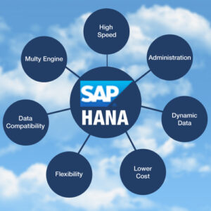 SAP HANA Web